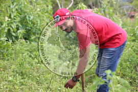 [Título n/d] : lote nº 002, pasta nº 000014, doc. nº 000229 [imagem] / Fotógrafo(a) : [autoria n/d].