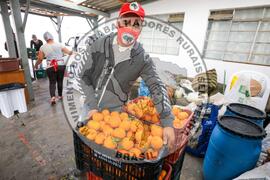 [Título n/d] : lote nº 002, pasta nº 001351, doc. nº 000042 [imagem] / Fotógrafo(a) : [autoria n/d].