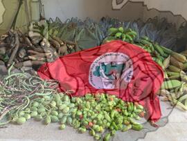 [Título n/d] : lote nº 002, pasta nº 001349, doc. nº 000001 [imagem] / Fotógrafo(a) : [autoria n/d].