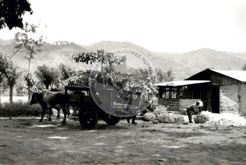 Original Digitaal object not accessible