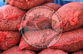 [Título n/d] : lote nº 002, pasta nº 001319, doc. nº 000036 [imagem] / Fotógrafo(a) : [autoria n/d].