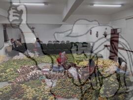 [Título n/d] : lote nº 002, pasta nº 001351, doc. nº 000306 [imagem] / Fotógrafo(a) : [autoria n/d].