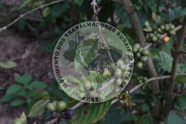 [Título n/d] : lote nº 002, pasta nº 001313, doc. nº 000020 [imagem] / Fotógrafo(a) : [autoria n/d].