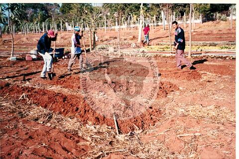 Original Digitaal object not accessible