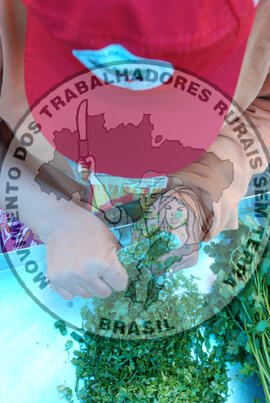 [Título n/d] : lote nº 002, pasta nº 000055, doc. nº 000024 [imagem] / Fotógrafo(a) : [autoria n/d].