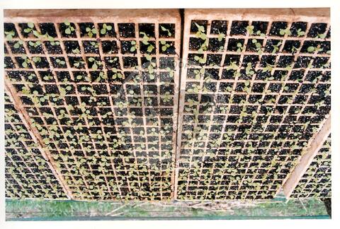 Original Document numérique not accessible