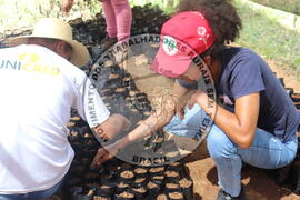 [Título n/d] : lote nº 002, pasta nº 000015, doc. nº 000016 [imagem] / Fotógrafo(a) : [autoria n/d].