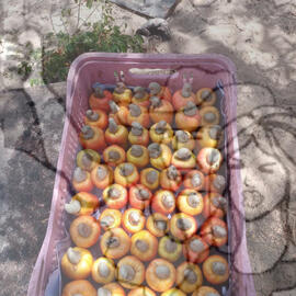 [Título n/d] : lote nº 002, pasta nº 001322, doc. nº 000035 [imagem] / Fotógrafo(a) : [autoria n/d].