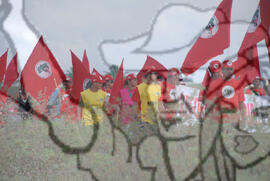 [Título n/d] : lote nº 002, pasta nº 000074, doc. nº 000133 [imagem] / Fotógrafo(a) : [autoria n/d].