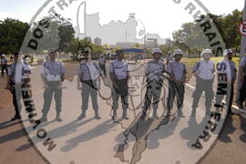 [Título n/d] : lote nº 002, pasta nº 000044, doc. nº 000446 [imagem] / Fotógrafo(a) : [autoria n/d].