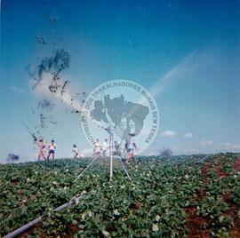 Assentamento "Logradouro" do MST (Canindé-CE, [sem data]) [fotografia] / Fotógrafo(a) : Arquivo MST. -- Ref.: BR-SPMST_MST-SN-CIN_AMP_000319-001554-ASS.