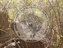 [Título n/d] : lote nº 002, pasta nº 000008, doc. nº 000038 [imagem] / Fotógrafo(a) : [autoria n/d].