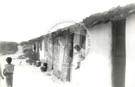 Assentamento "Serrinha" do MST (Pernambuco, set. 1996) [fotografia] / Fotógrafo(a) : Verinha Vilar. -- Ref.: BR-SPMST_MST-SN-CIN_AMP_000336-001613-ASS.