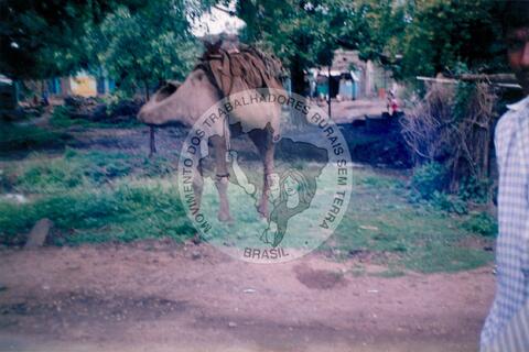 Original Objeto digital not accessible