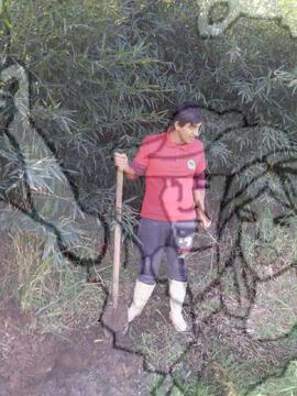 [Título n/d] : lote nº 002, pasta nº 000028, doc. nº 000010 [imagem] / Fotógrafo(a) : [autoria n/d].