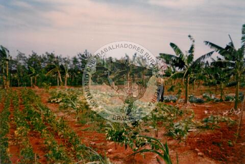 Original Digitaal object not accessible