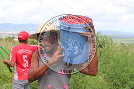 [Título n/d] : lote nº 002, pasta nº 000014, doc. nº 000257 [imagem] / Fotógrafo(a) : [autoria n/d].