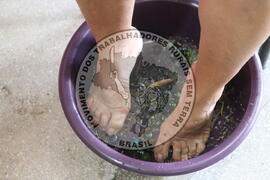 [Título n/d] : lote nº 002, pasta nº 000015, doc. nº 000255 [imagem] / Fotógrafo(a) : [autoria n/d].