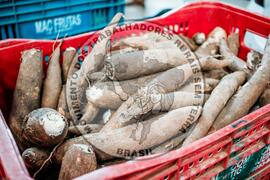 [Título n/d] : lote nº 002, pasta nº 001351, doc. nº 000489 [imagem] / Fotógrafo(a) : [autoria n/d].