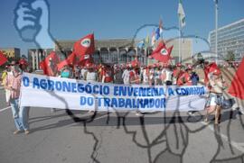 [Título n/d] : lote nº 002, pasta nº 000062, doc. nº 000089 [imagem] / Fotógrafo(a) : [autoria n/d].