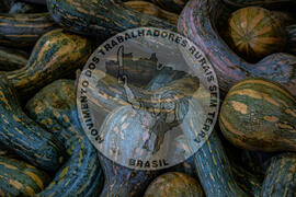 [Título n/d] : lote nº 002, pasta nº 001317, doc. nº 000011 [imagem] / Fotógrafo(a) : [autoria n/d].