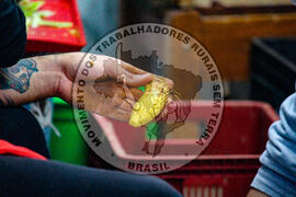 [Título n/d] : lote nº 002, pasta nº 001342, doc. nº 000045 [imagem] / Fotógrafo(a) : [autoria n/d].