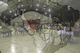 [Título n/d] : lote nº 002, pasta nº 001311, doc. nº 001236 [imagem] / Fotógrafo(a) : [autoria n/d].