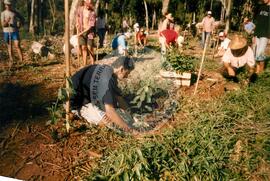 Reflorestamento Fazenda Dissenha (Abelardo Luz-SC, [sem data]) [fotografia] / Fotógrafo(a) : [sem autoria]. -- Ref.: BR-SPMST_MST-SN-CIN_AMP_001992-015224-PDU.