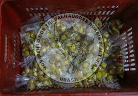 [Título n/d] : lote nº 002, pasta nº 001348, doc. nº 000013 [imagem] / Fotógrafo(a) : [autoria n/d].