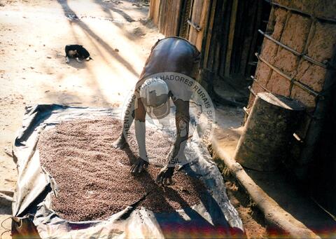 Original Digitaal object not accessible