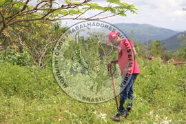 [Título n/d] : lote nº 002, pasta nº 000014, doc. nº 000227 [imagem] / Fotógrafo(a) : [autoria n/d].