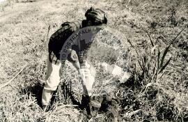 Assentamento do MST [sem identicação] (Dionísio Cerqueira-SC, set. 1995) [fotografia] / Fotógrafo(a) : Débora Lerrer. -- Ref.: BR-SPMST_MST-SN-CIN_AMP_000195-001409-ASS.