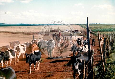 Original Document numérique not accessible
