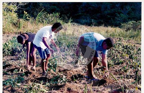 Original Digitaal object not accessible