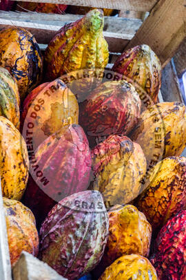 [Título n/d] : lote nº 002, pasta nº 001319, doc. nº 000108 [imagem] / Fotógrafo(a) : [autoria n/d].