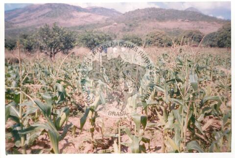 Original Document numérique not accessible