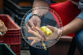 [Título n/d] : lote nº 002, pasta nº 001350, doc. nº 000112 [imagem] / Fotógrafo(a) : [autoria n/d].