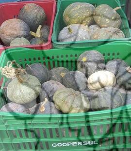 [Título n/d] : lote nº 002, pasta nº 001332, doc. nº 000006 [imagem] / Fotógrafo(a) : [autoria n/d].