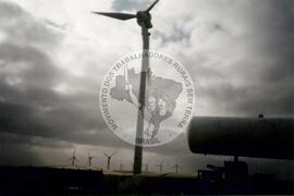 Viagem de Luiz Roberto para Espanha (Ilhas Canárias (Espanha), 31 jan. 2001) [fotografia] / Fotógrafo(a) : Arquivo MST. -- Ref.: BR-SPMST_MST-SN-CIN_AMP_001119-009221-RIT.