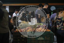 [Título n/d] : lote nº 002, pasta nº 001356, doc. nº 000211 [imagem] / Fotógrafo(a) : [autoria n/d].