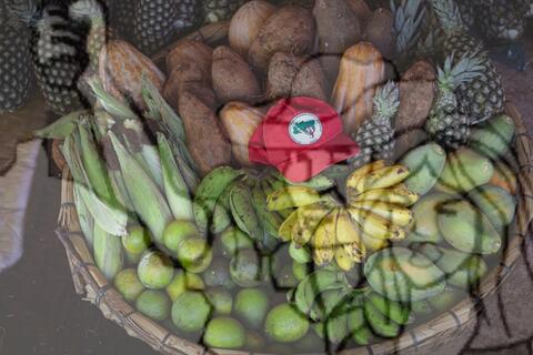 Original Objeto digital not accessible