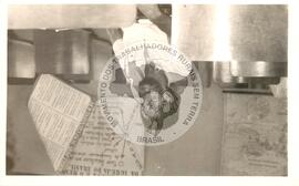 Agmar Souza Gomes (Piauí, ago. 1986) [fotografia] / Fotógrafo(a) : Wanda Lúcia R. Silva. -- Ref.: BR-SPMST_MST-SN-CIN_AMP_001170-010254-LID.