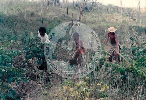 Original Objeto digital not accessible