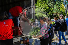 [Título n/d] : lote nº 002, pasta nº 001344, doc. nº 000045 [imagem] / Fotógrafo(a) : [autoria n/d].
