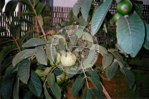 Original Document numérique not accessible