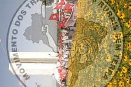 [Título n/d] : lote nº 002, pasta nº 000044, doc. nº 000013 [imagem] / Fotógrafo(a) : [autoria n/d].