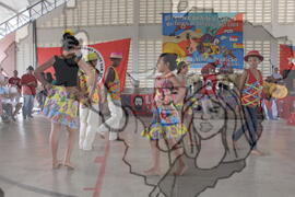 [Título n/d] : lote nº 002, pasta nº 001311, doc. nº 001481 [imagem] / Fotógrafo(a) : [autoria n/d].