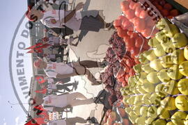 [Título n/d] : lote nº 002, pasta nº 000044, doc. nº 000380 [imagem] / Fotógrafo(a) : [autoria n/d].