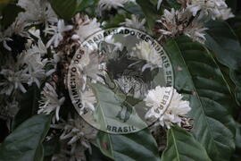 [Título n/d] : lote nº 002, pasta nº 001313, doc. nº 000039 [imagem] / Fotógrafo(a) : [autoria n/d].