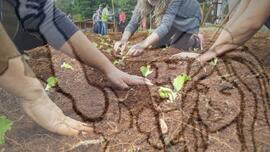 [Título n/d] : lote nº 002, pasta nº 001319, doc. nº 000172 [imagem] / Fotógrafo(a) : [autoria n/d].